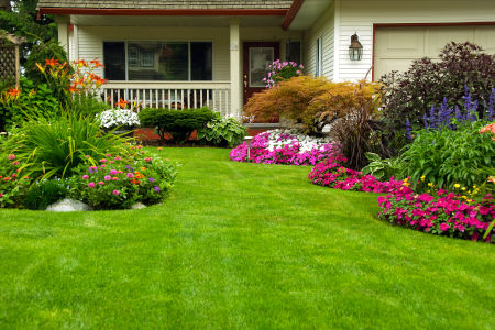 4 Key Benefits of Sod Installation for Your Home's Curb Appeal