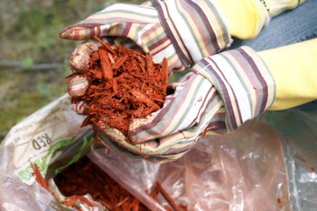 Organic vs. Inorganic Mulch: Which Is Best for Your Yard